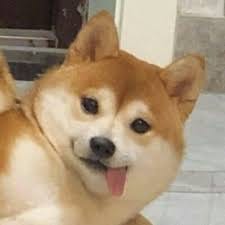 Jake_The_Winner avatar