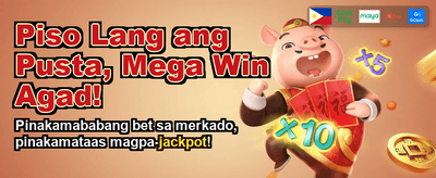 Premium Casino Gaming Experience